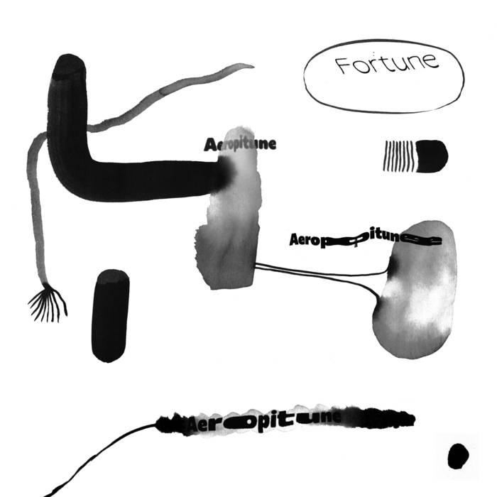 Aeropitune's Fortune - Album Cover
